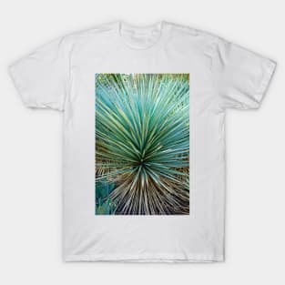 Desert Study 1 T-Shirt